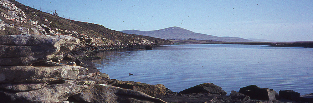 Doctor Anderson- the first West Falkland Doctor 